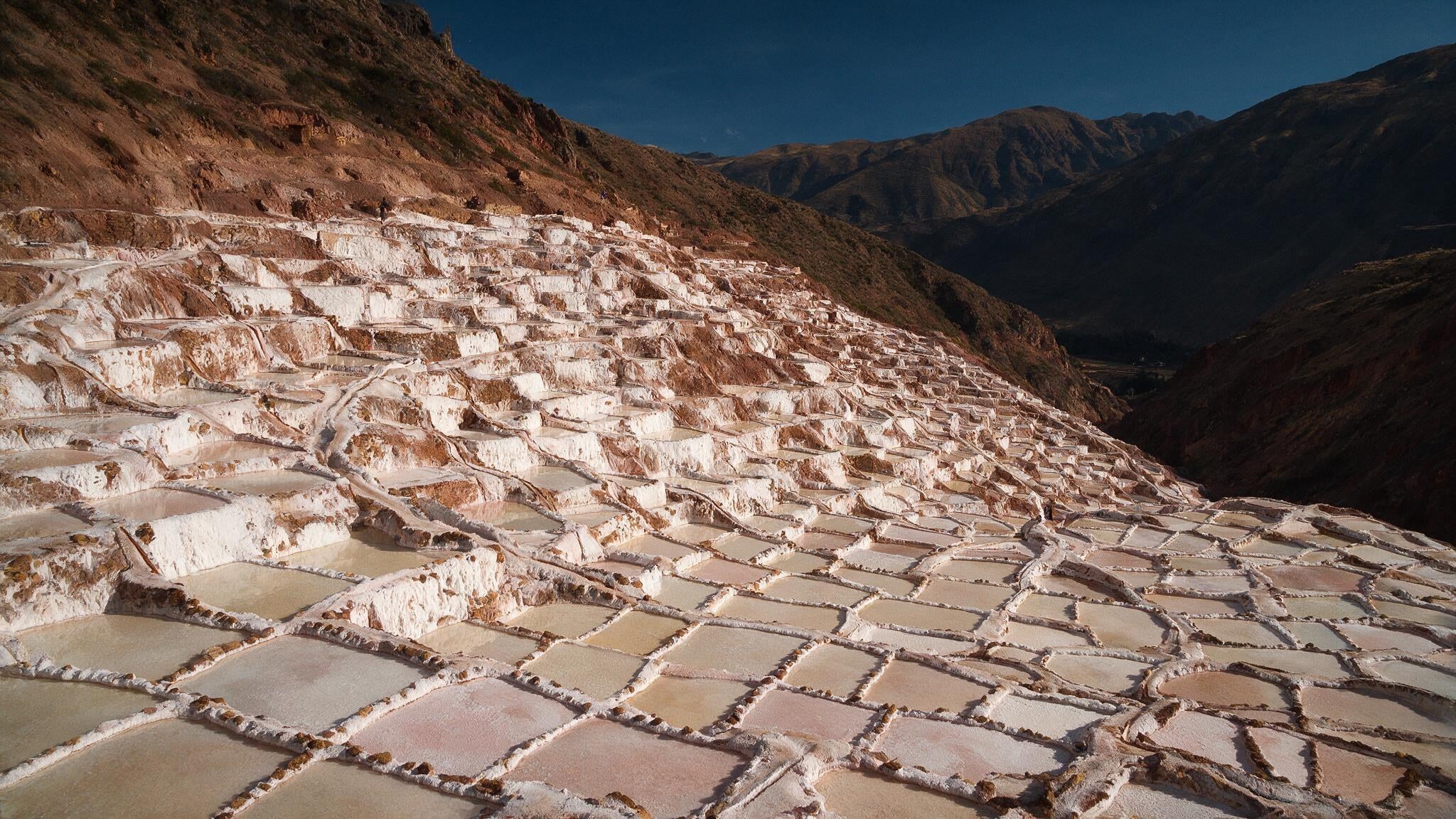 Maras
