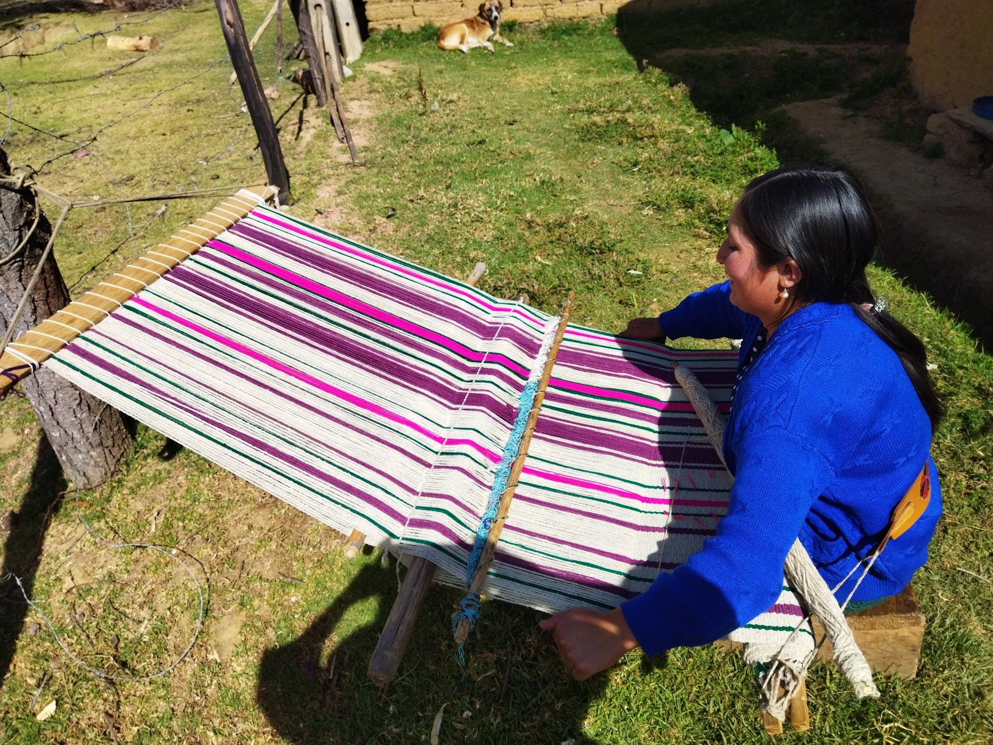 Andean weaver working a striped aguayo textile on a ground loom